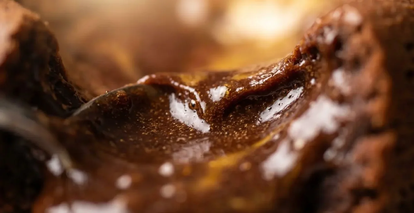 Gros plan macroscopique de l'émulsion chocolat-jaune d'œuf révélant sa texture lisse et soyeuse